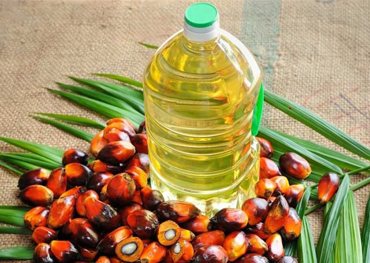 Palm Oil