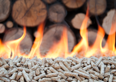 Biomass Energy