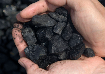Coal Trading