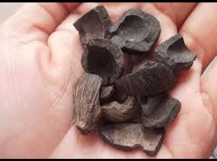 Coal 003
